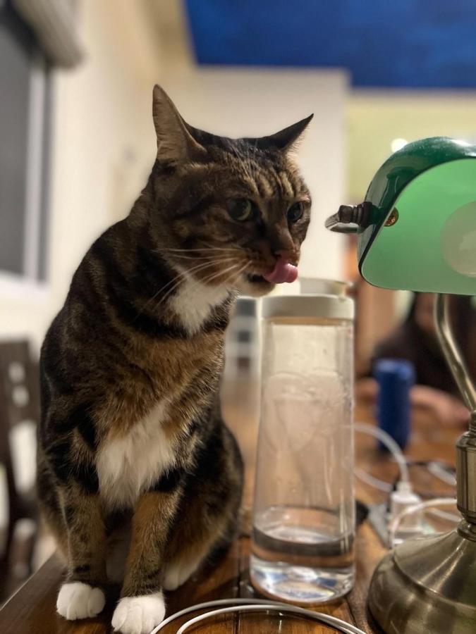 Sevilla Hostel T'ai-tung エクステリア 写真